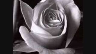 People in Planes- Pretty Buildings