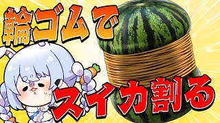 [閒聊] 屑兔又要搞事了