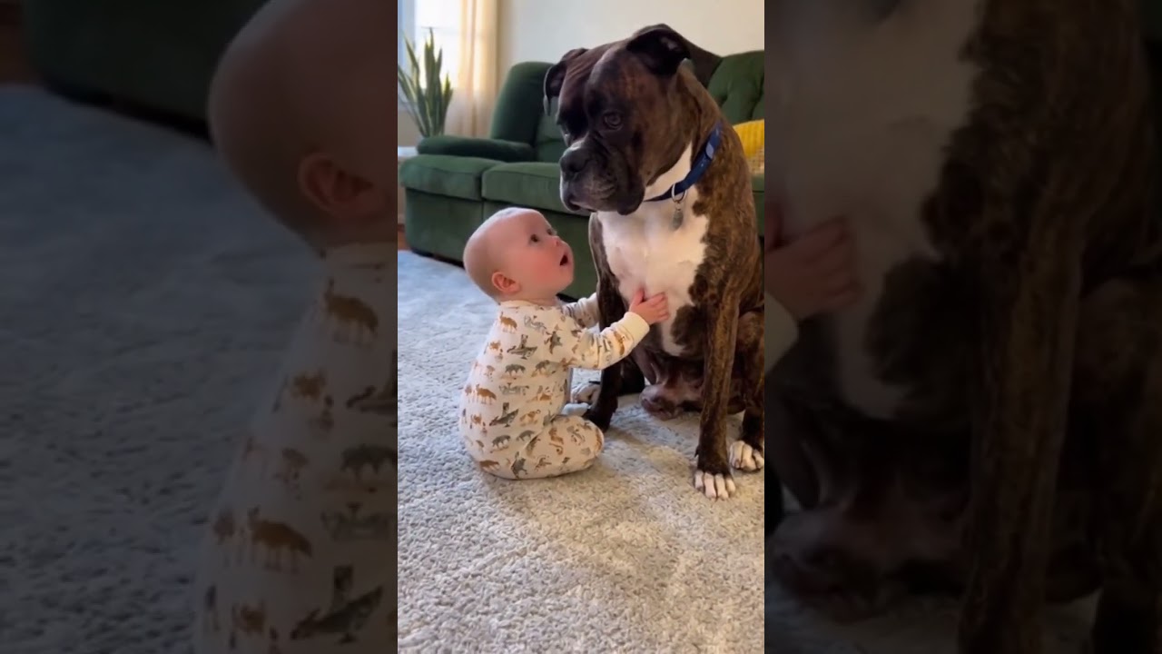 A baby and a dog