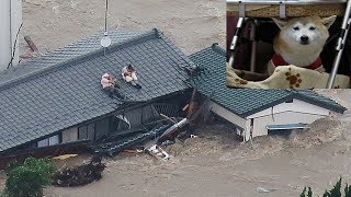 Couple Stranded On A Roof As Flood Waters Rage Refuses To Be Rescued Without Their Dogs