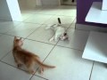 Penelope E Garfield MPG