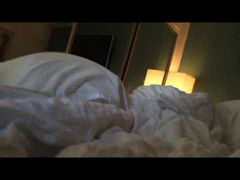 A nice morning with a sleepy cat