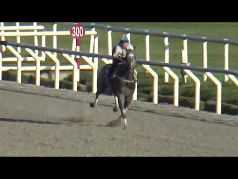 COMPADRITO-REVISTA INVASOR