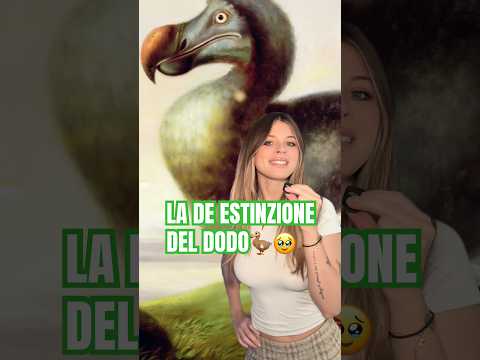 Quale animale estinto vorresti riportare in vita? 👀 #perte #curiosità #dodo