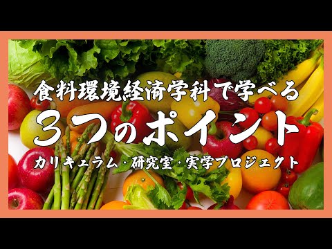 【東京農業大学】食料環境経済学科で学べる３つのPoint【カリキュラム＆研究室＆実学プロジェクト】