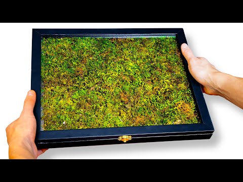 , title : 'DIY Living Moss Picture Frame (Relaxing Tutorial)