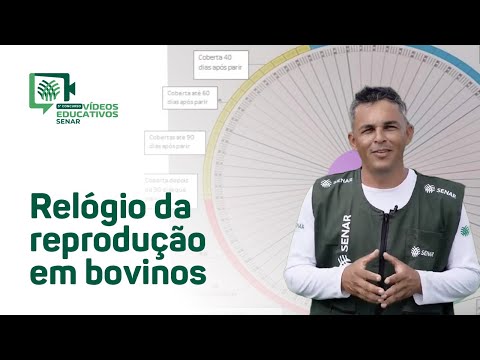 Relógio da Reprodução em bovinos - João Paranha Souza Junior (BA)