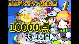 【解説】サクスぺ初心者必見　天空中央PR以下だけで14000点!!