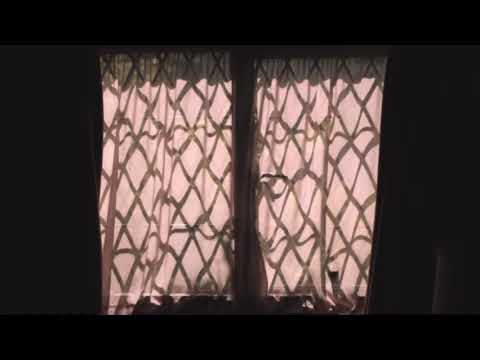 bibio ~ fools (slowed 11 mins loop) ft. olivier st. louis