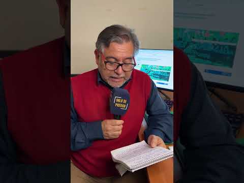 Minera NeoRe solicita concesión de 100 hectáreas en Penco-Lirquén para explotar tierras raras