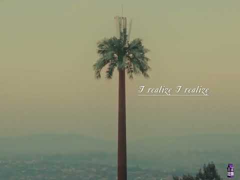 Dice The Prince - I realize (Lyric Video)