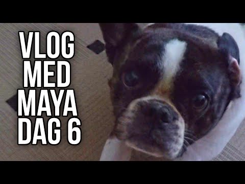 Vlog Med Maya - Dag 6 - Yo Og Godmorgen! - [Dansk]