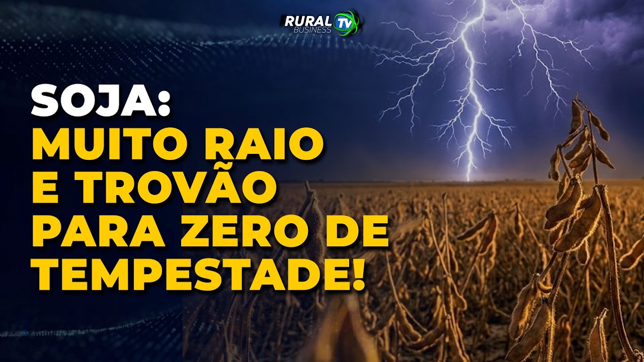 SOJA: MUITO RAIO E TROVÃO PARA ZERO DE TEMPESTADE!