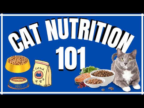 Cats 101 : Cat Nutrition
