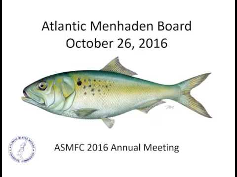 ASMFC Atlantic Menhaden Board Proceedings Oct2016