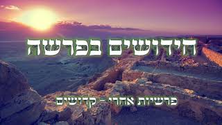 סיפורים וחידושים לפרשת אחרי - קדושים || שמעו ותחי נפשכם                   [משוחזר]