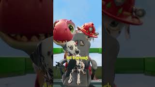 Dog Reaction