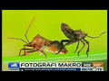 Gallery Photography Indonesia In WideShot Program MetroTV