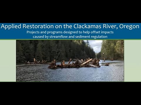 FIS11 Advanced Stream Restoration and Protection Practices - Natural River Design Approaches