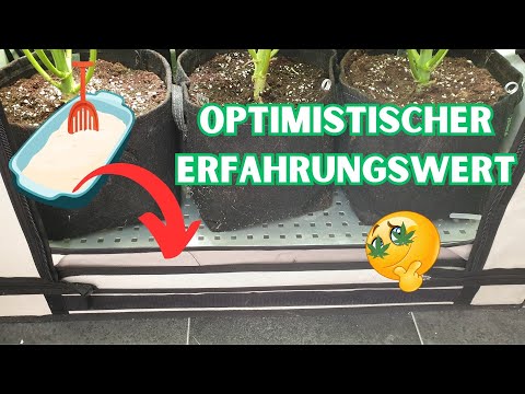 Mit Katzenstreu die Luftfeuchtigkeit im Growzelt senken!? 🥦