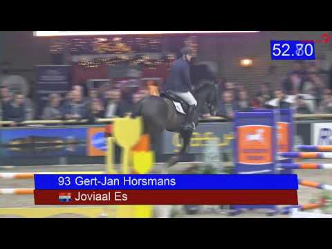 stallion competition Zuidbroek