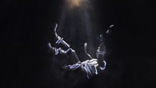 SAFIA - Make Them Wheels Roll (Official Audio)