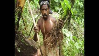 preview picture of video 'Tanna Kava - Meet the natives from Tanna Kava and see how to prepare your Tanna Kava Powder'