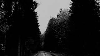 Mellowing - All Them Witches Unofficial Video