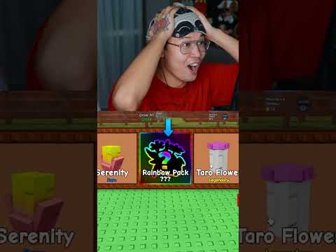 Rainbow maple apple упал в вырасти сад Grow a garden erox blox #growagarden #роблокс #вырастисад