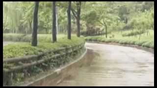 Just Walking In The Rain ; Jim Reeves