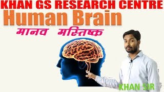  Biology - Human Brain (मानव मस्त�