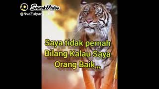 Download lagu story WA snack video mp3 Download lagu story WA snack video mp3