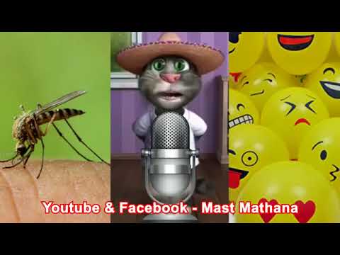 Talking Tom funny song 2017 about macchar Mosquito    Singing talking Tom    Akther Brothers      Yo