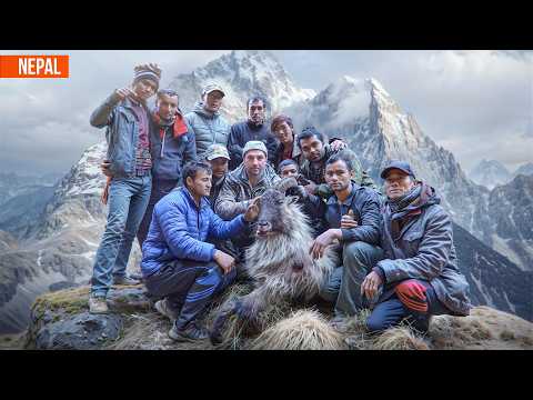 Why Trophy Hunting Can Save Endangered Species [8K] #trophyhunting