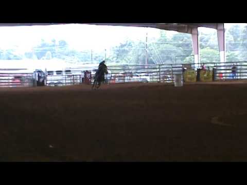 PCYRA Playday 2016 - Summer - Speed