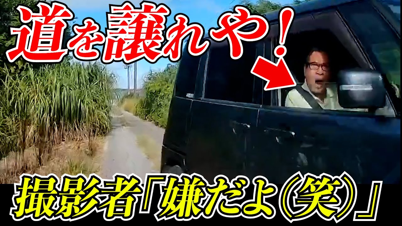【ドラレコ】道を譲らなかった結果、ざまぁな展開！