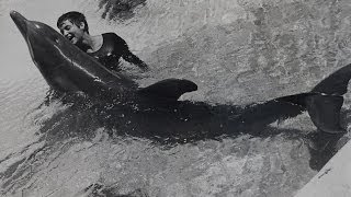Dealing with a dolphin's 'urges' - The Girl Who Talked to Dolphins: Preview - BBC Four video