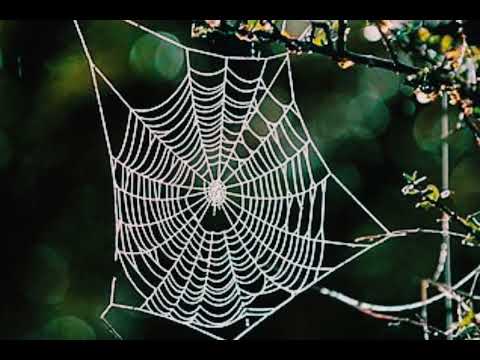 O malige  (Muddada Bale Heneda) ||Ramesh Aravind || kannada songs | old songs | Hamsaleka