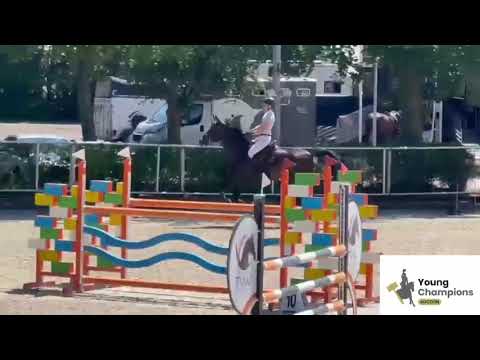 show video  2