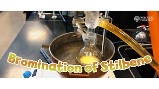 [Orgo Lab 2] Bromination of Stilbene