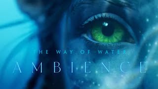Download lagu Avatar: The Way of Water | Songcord | Ambient Soundscape mp3 Download lagu Avatar: The Way of Water | Songcord | Ambient Soundscape mp3