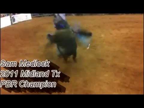 PBR CHAMPION BULL RIDER