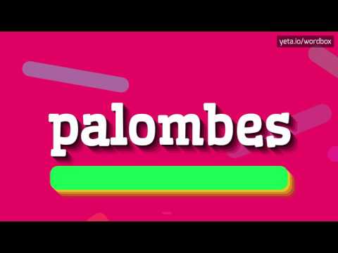 PALOMBES - How to pronounce Palombes?