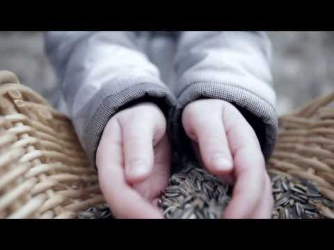 Ne spreglej! - Canegatto