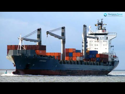MSC PANAYA CONTAINER SHIP | Maritime Shipping Blog
