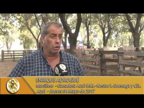 04-05-17 Nota a Enrique Adrogué - Néstor I. Goenaga y Ganadera Azul- Azul -