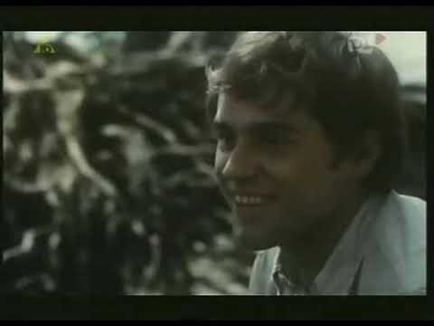 Bataliony Chłopskie w Natarciu.