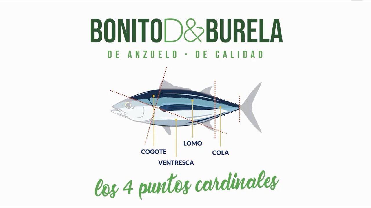 Watch OPP7: LOS 4 PUNTOS CARDINALES DEL BONITO DEL NORTE Now OPP7: LOS 4 PUNTOS CARDINALES DEL BONITO DEL NORTE