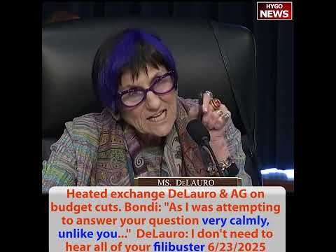Heated exchange, AG Bondi: I was very calmly, unlike you; NSF-DOE Rubin Observatory: most powerful
