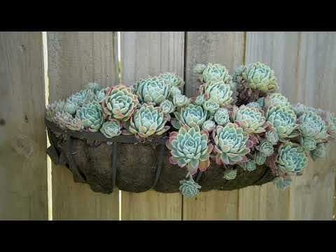 Open2view NZ - ID# 473245 - 49 Ritchie Street, Te Aroha